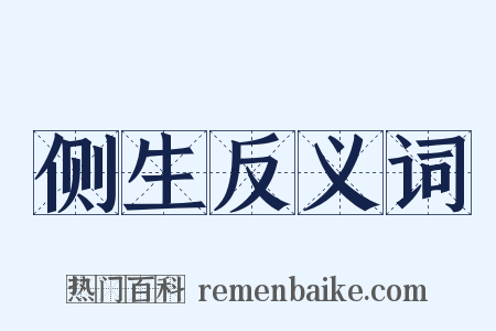 侧生反义词是什么意思的图片